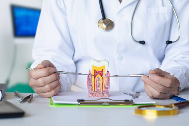 Best Cosmetic Emergency Dentistry in Ayden, NC